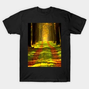 Beautiful Forest Trees of Nature T-Shirt